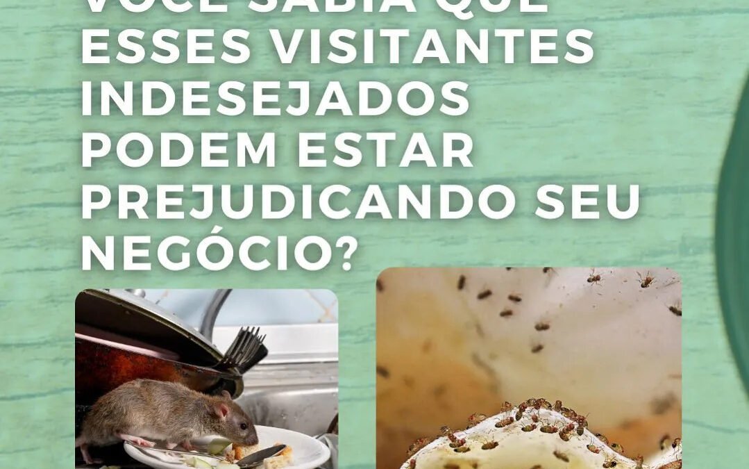 Você sabia? Curiosidade sobre Ratos