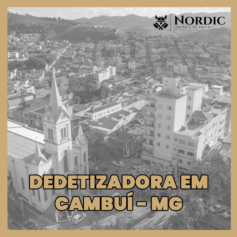 Dedetizadora em Cambuí MG Dedetizadora em Cambuí MG