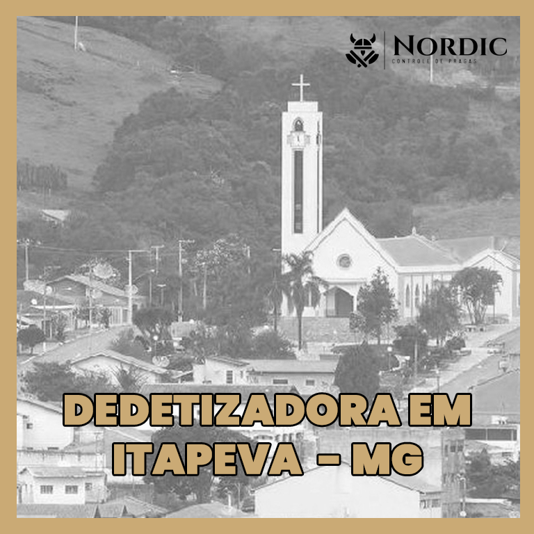 Dedetizadora em Itapeva MG Dedetizadora em Itapeva MG