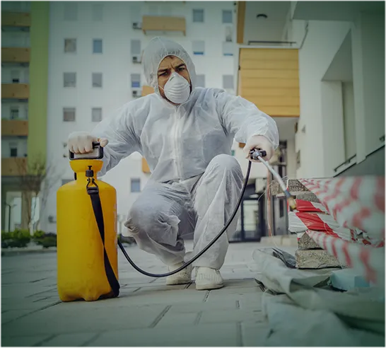 Contrato de dedetizaçao para condomínios