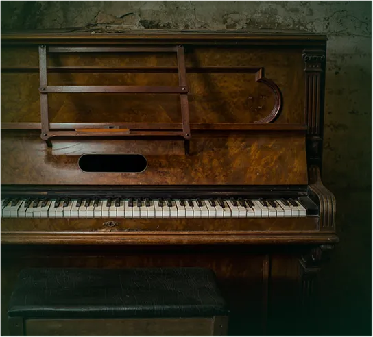 Descupinização de piano