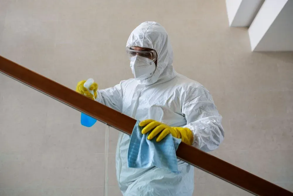 Desinsetização comercial // Dedetização em Bragança SP