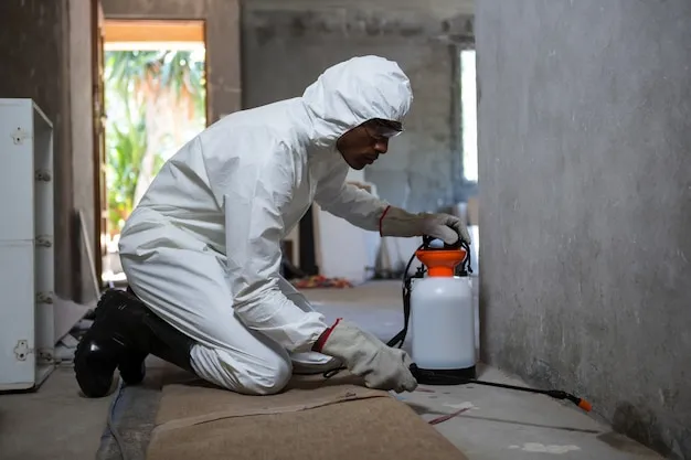 Dedetizadora em Terra Preta SP // Dedetização em Bragança SP