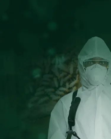 Dedetizadora em Valinhos SP // Dedetização em Bragança SP