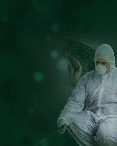 Dedetizadora em Jundiaí – SP // Dedetização em Bragança SP